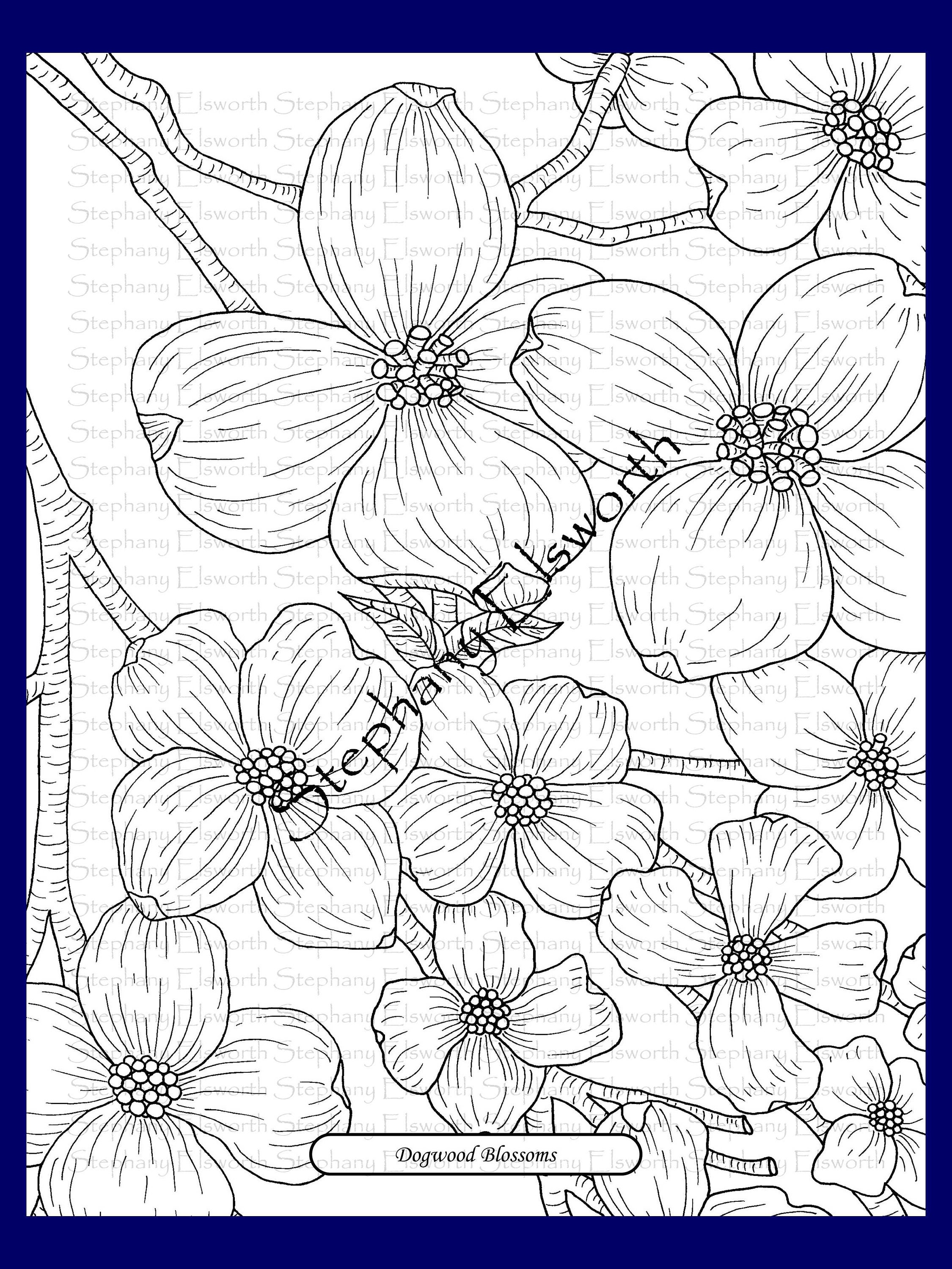 Dogwood Blossoms 8 1/2 x 11 Printable Instant Digital Download - Etsy ...