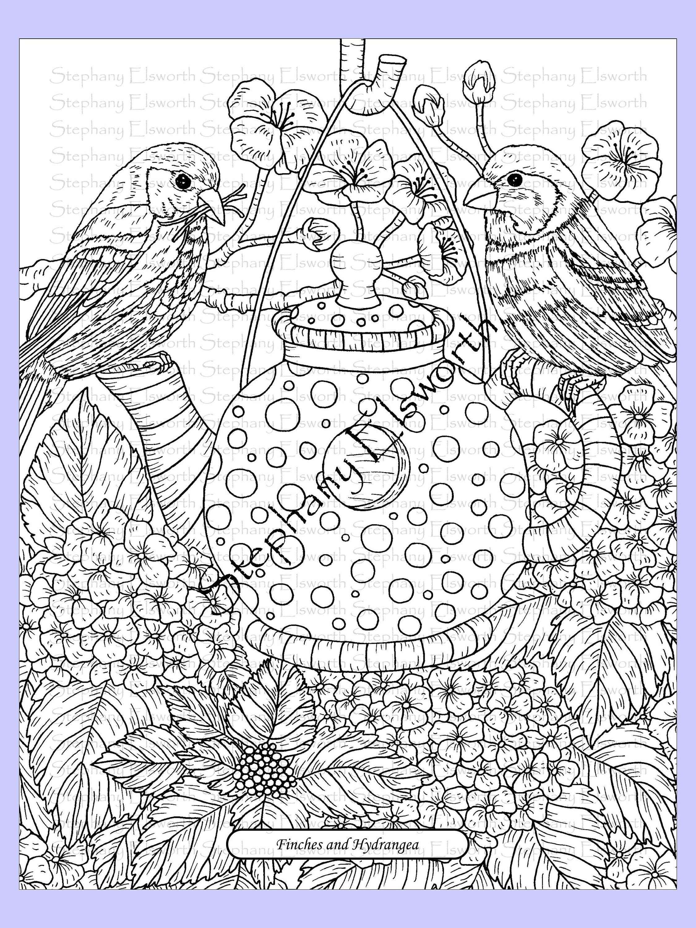 Blossoms and Birds 25 Page 8 1/2 x 11 PDF Coloring Book | Etsy