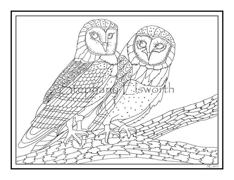 Barn Owl Set Of Three 8 1 2 X 11 Printable Instant Download Etsy