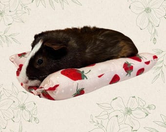 Guinea Pig Beds