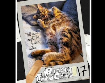 Pocket Thoughts Zine #17 – Art, bandes dessinées, poèmes, couverture de chat