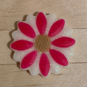 Daisy X-ray Markers