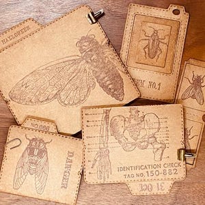 File folders in 3 sizes, ticket and photo card cutting dies "Cami" (set of 6)