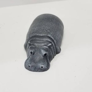 Small Laying Hippo