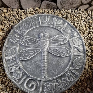 Dragonfly Stepping Stone