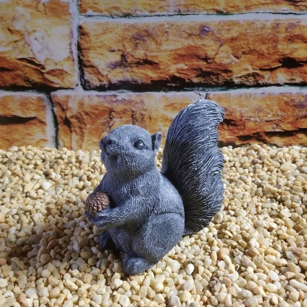 Small Squirrel With Nut
