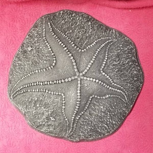 Star Fish Stepping Stone