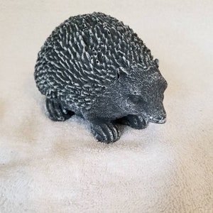 Small Prickly Hedgehog