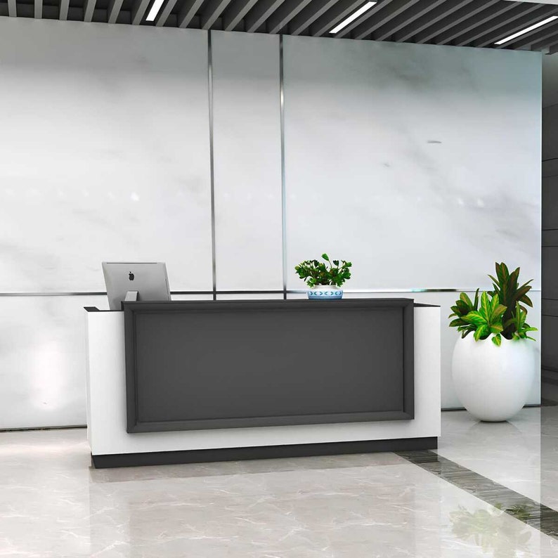 Puede incluir: Un mostrador de recepci&oacute;n blanco y negro con una encimera negra y una base blanca. El mostrador tiene un peque&ntilde;o monitor de ordenador en la parte superior. Hay dos plantas en maceta en el suelo junto al mostrador.