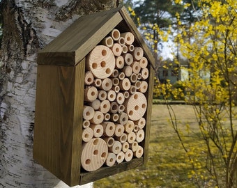 Insect house, house for bees, wasps, hatchery