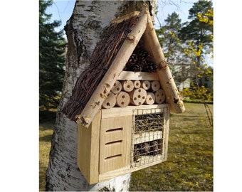 Insect house, house for bees, wasps, hatchery