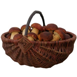 Einkaufskorb Autokorb Gemüsekorb Kartoffelkorb Erntekorb WEIDENKORB Pilzkorb Blumenkorb Gartenkorb Deko Tragekorb