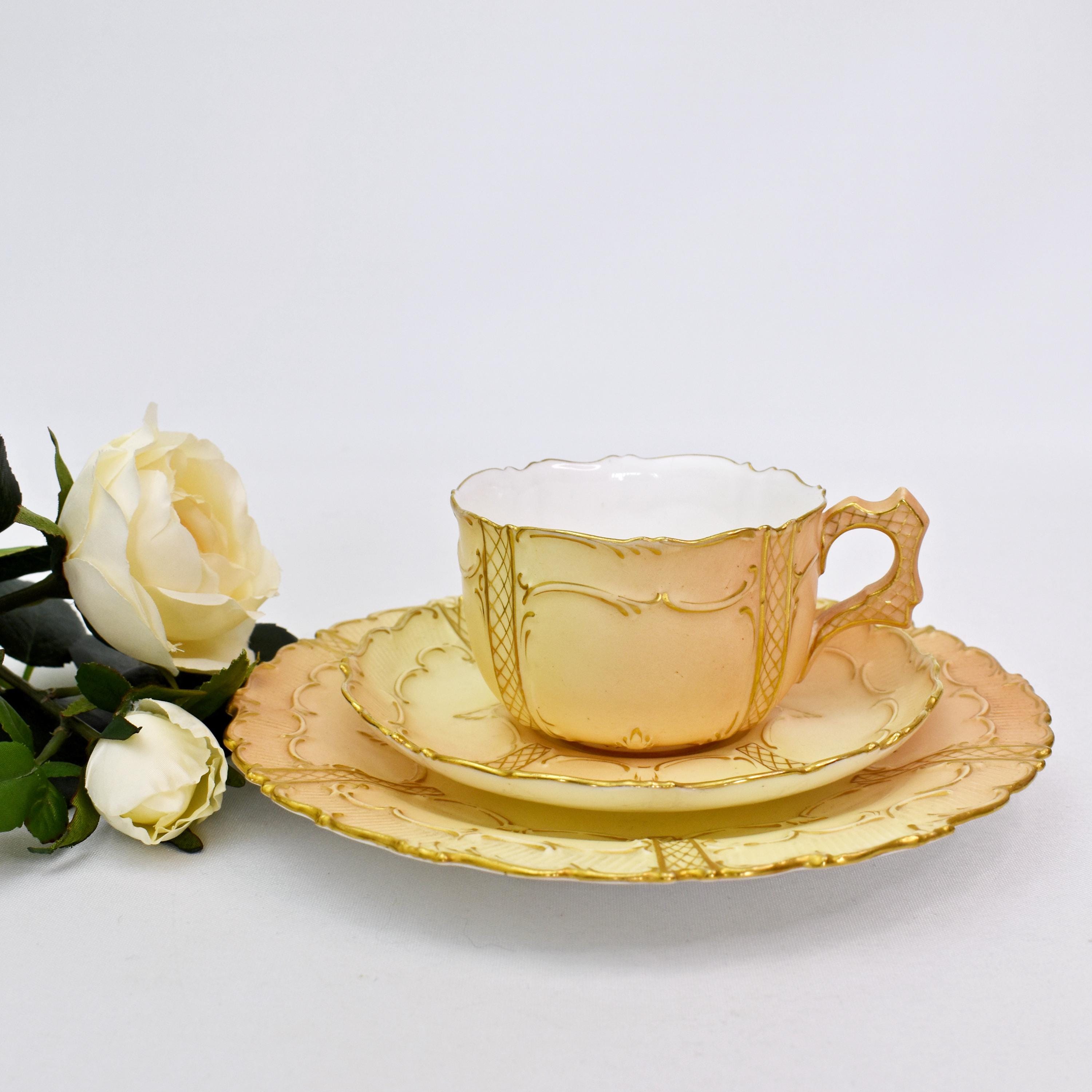 Royal Worcester Blush Ivory Cup - Etsy