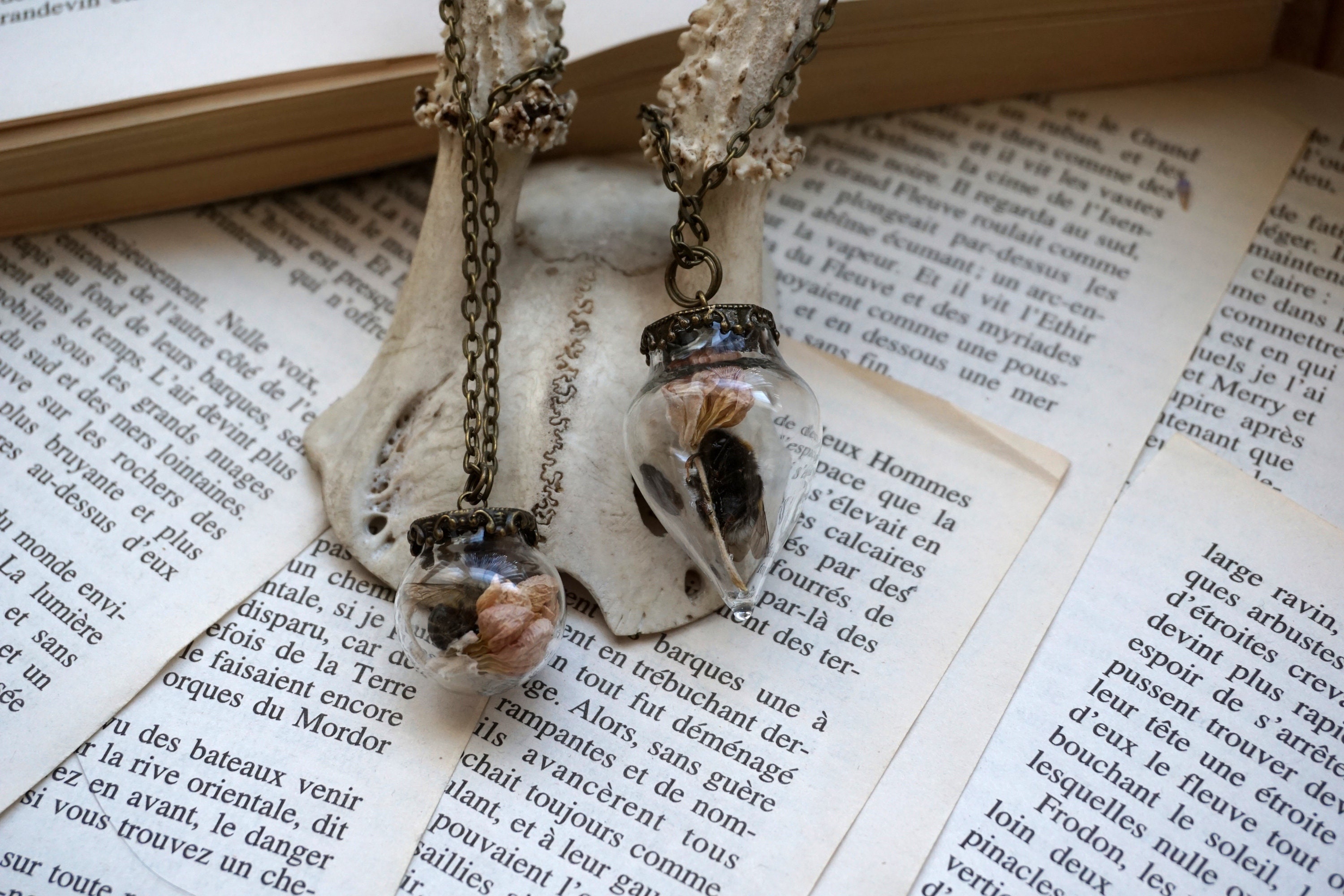 Tiny Bottle Bumblebee Bee Dried Flowers Small Vial Etsy