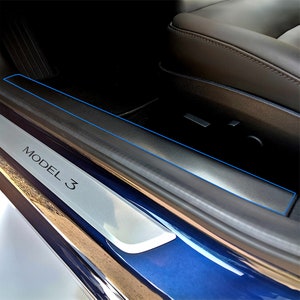 Model 3 Front Door Entry Protector