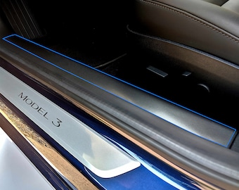 Model 3 Front Door Entry Protector