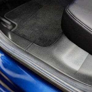 Model 3 Rear Door Entry Protector