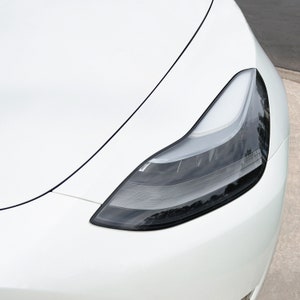 Model Y & Model 3 Headlight and Foglight Protector