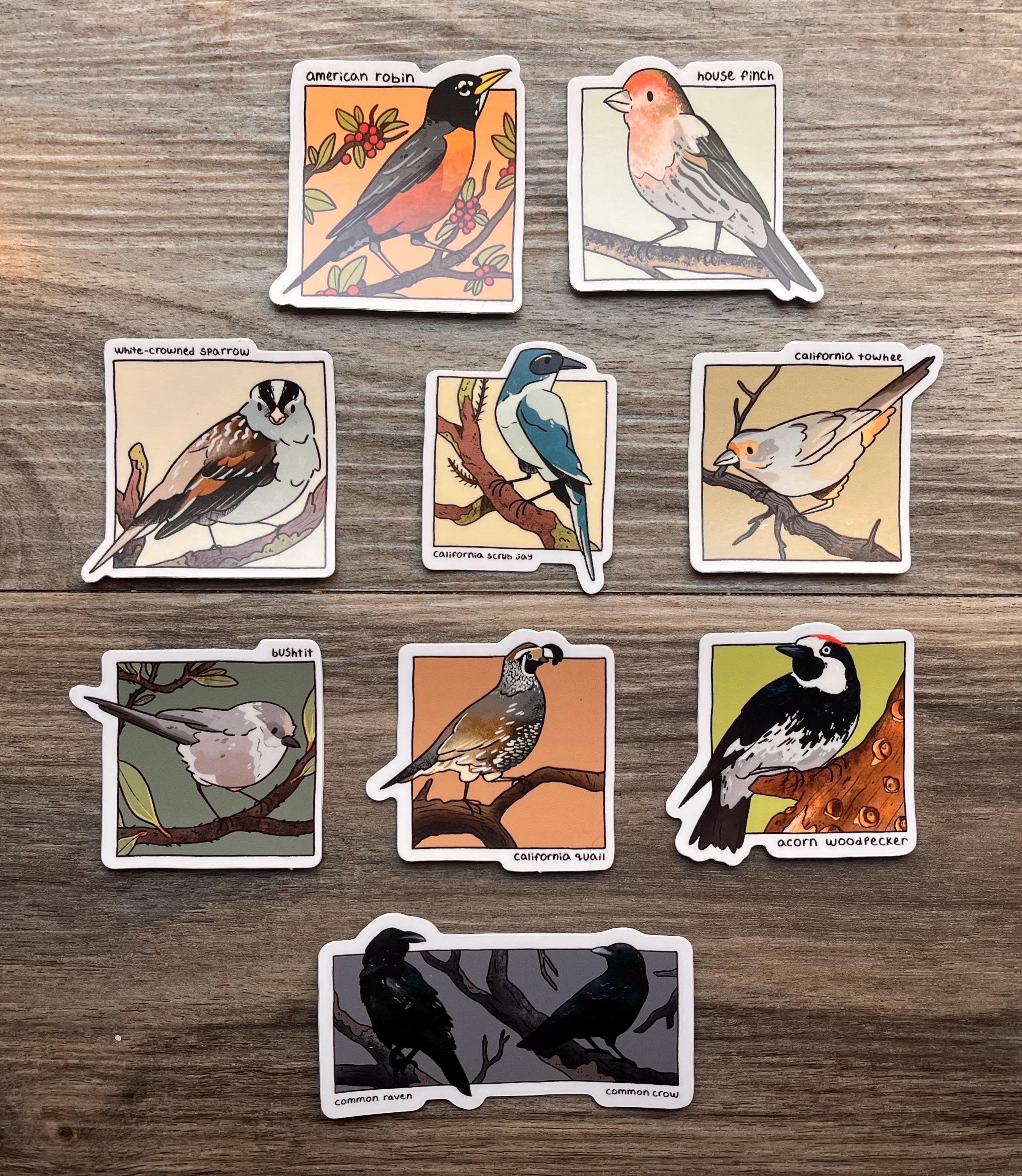 Bird Stickers - Etsy