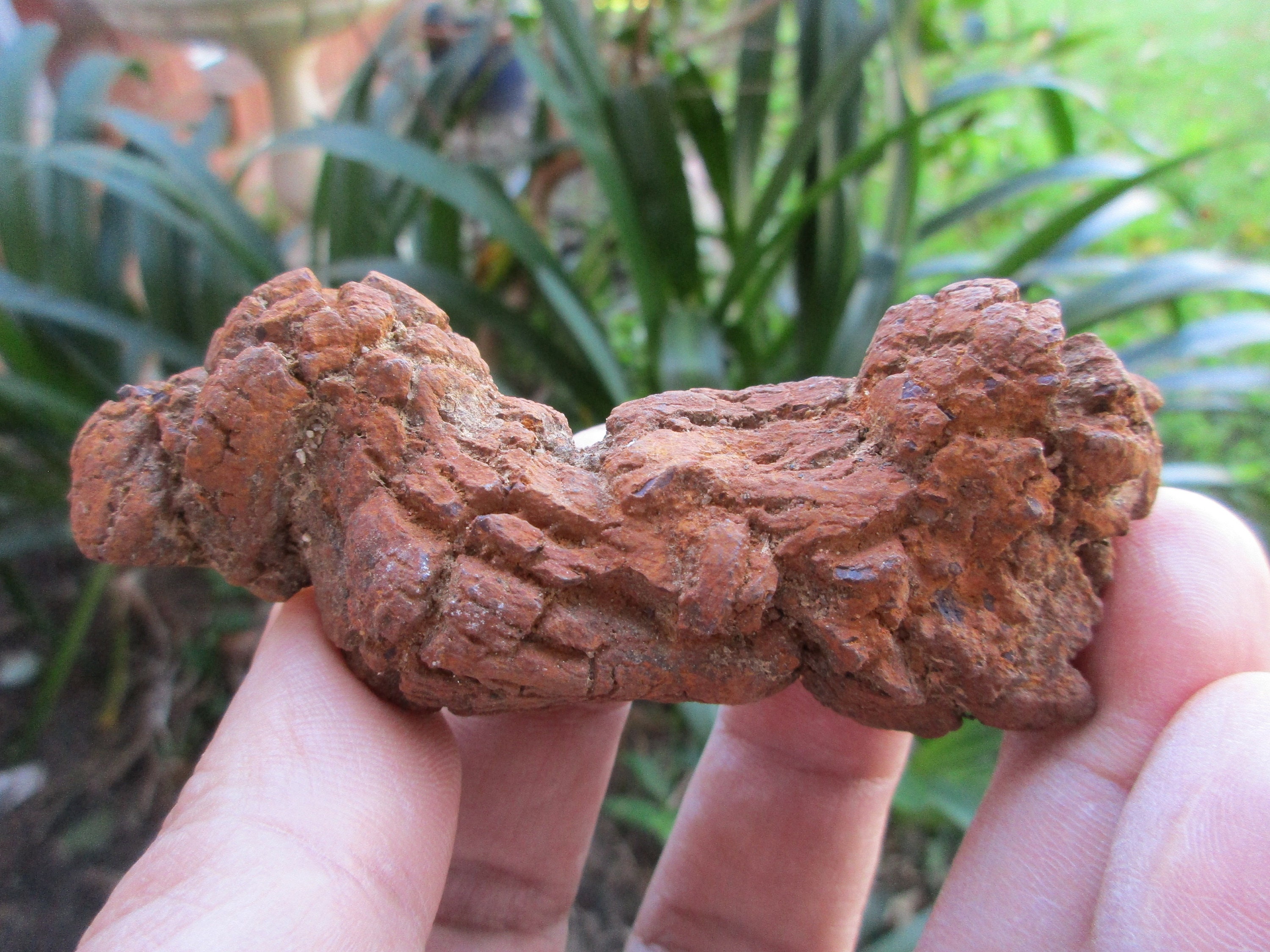 fossilized turd