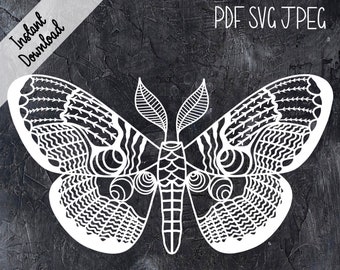 Moth Papercutting Template  - SVG PDF JPG - Digital Download - Papercut Pattern -  Free Colouring Page