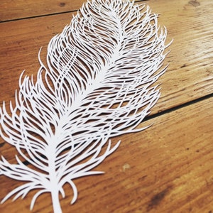 May include: A white paper cut-out of a large feather with intricate details. The feather is lying on a wooden surface.