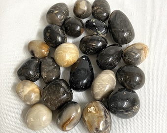 Feather Agate Tumbled Stones (#142)  Tumbled Feather Agate