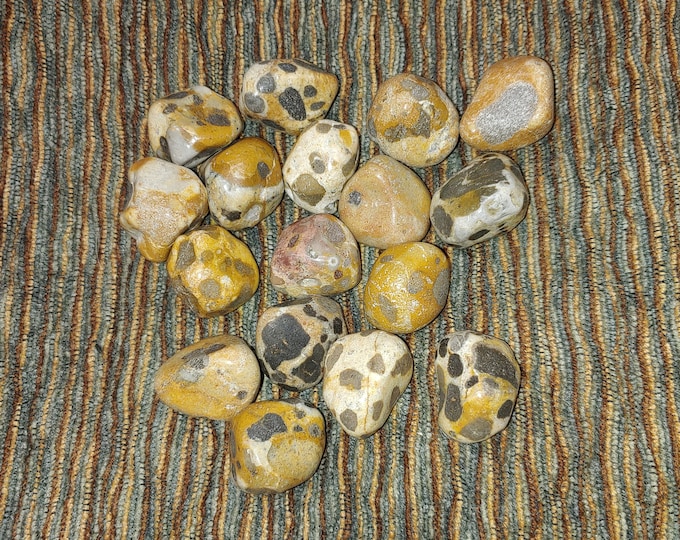 Leopard Skin Jasper (Jaguar Stone)  Tumbled Stone (#12)