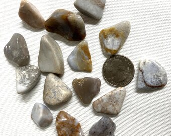 Blue Chalcedony Tumbled Stone (#83) Tumbled Blue Chalcedony