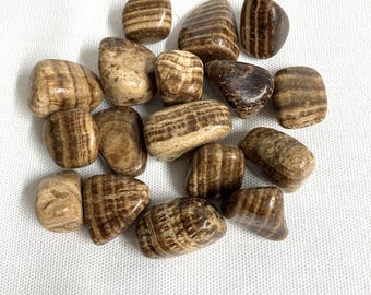 Aragonite Tumbled (#48) Tumbled Aragonite