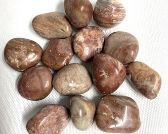 Crazy Lace Agate Tumbled Stones  (#154) Tumbled Crazy Laced Agate