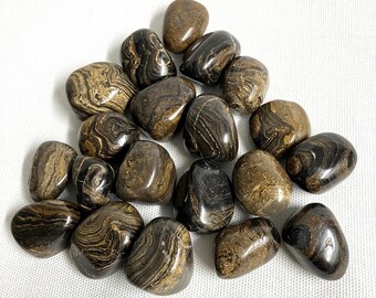 Stromatolite Tumbled Stones  (#79) Tumbled Stromatolite
