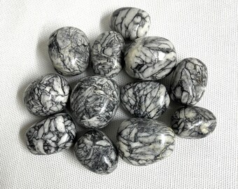 Pinolith Jasper Tumbled Stones (#107) Tumbled Pinolith