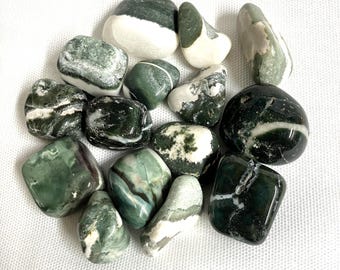 Green Sardonyx Tumbled Stones (#137) Tumbled Green Sardonyx