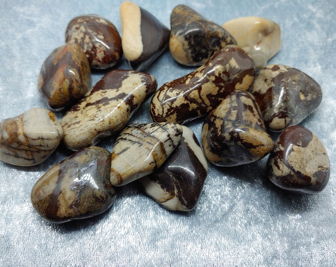 Nguni Jasper Tumbled (#87)