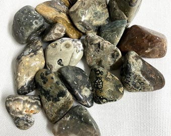 Ocean Jasper Tumbled Stones  (#78)  Tumbled Ocean Jasper