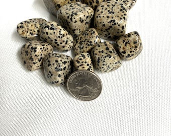 Dalmatian Jasper Tumbled Stone  (#26) Tumbled Dalmatian