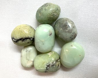 Green Chrysoprase Tumbled Stones  (#63) Tumbled Green Chrysoprase