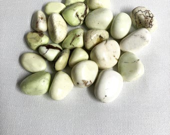 Lemon Chrysoprase Tumbled Stone (#20) Tumbled Lemon Chrysoprase