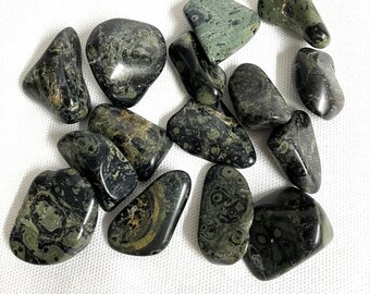 Kambaba Jasper Tumbled Stone  (#38) Tumbled Kambaba Jasper