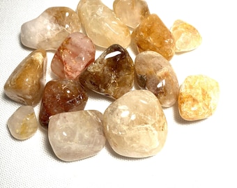 Golden Healer Quartz Tumbled Stones (#7) Tumbled Golden Quartz