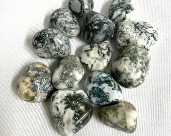 Tree Agate Tumbled Stone (#98) Tree Agate Tumble