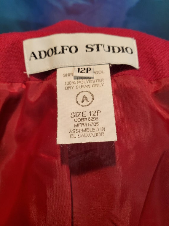 Raspberry Adolfo Studio Blazer, Size 12P - image 8