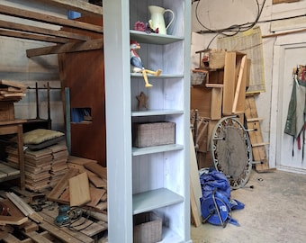 Kitchen shelf unit, hallway storage, bedroom shelves. Painted bookcase.