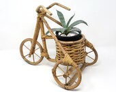 Vintage Bamboo and Rattan Tricycle Plant Stand