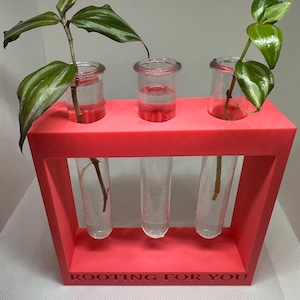 Puede incluir: Una estación de propagación de color coral con tres tubos de vidrio transparente que contienen agua y esquejes de plantas. La base dice "ROOTING FOR YOU". Las plantas tienen hojas verdes y plateadas.