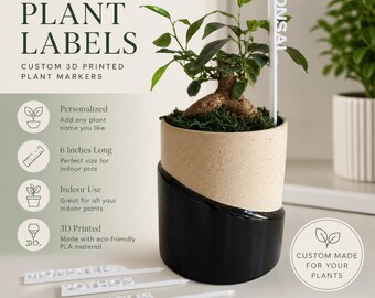 Personalized Plant Labels – Set of 2 or 3 Custom Indoor Plant Markers (6” White PLA Stakes)