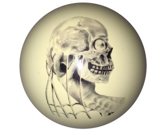 Skull in Hand Custom Cue Ball by D&L Billiards