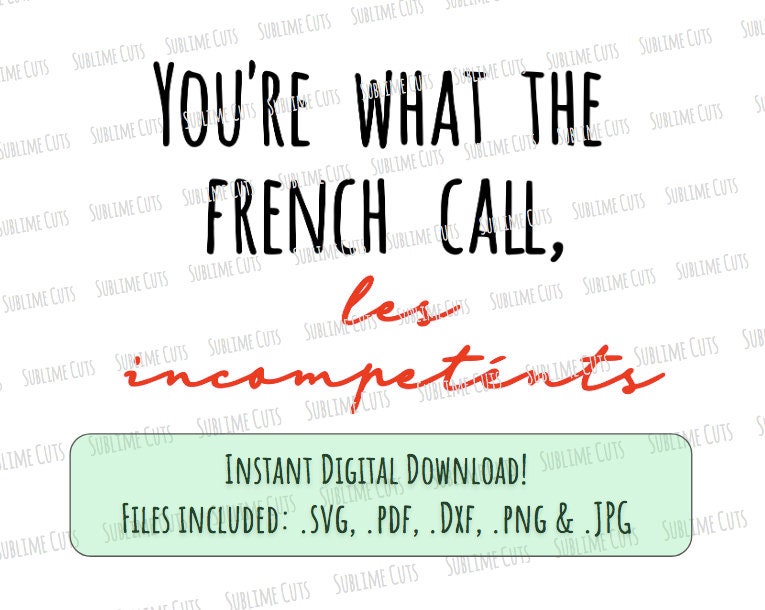 Home Alone You're What The French Call