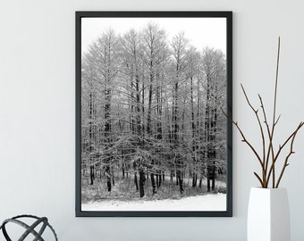 Arredamento per la casa wanderluster delle Alpi austriache - arte monocromatica stampabile - paesaggio forestale invernale - fotografia alpina